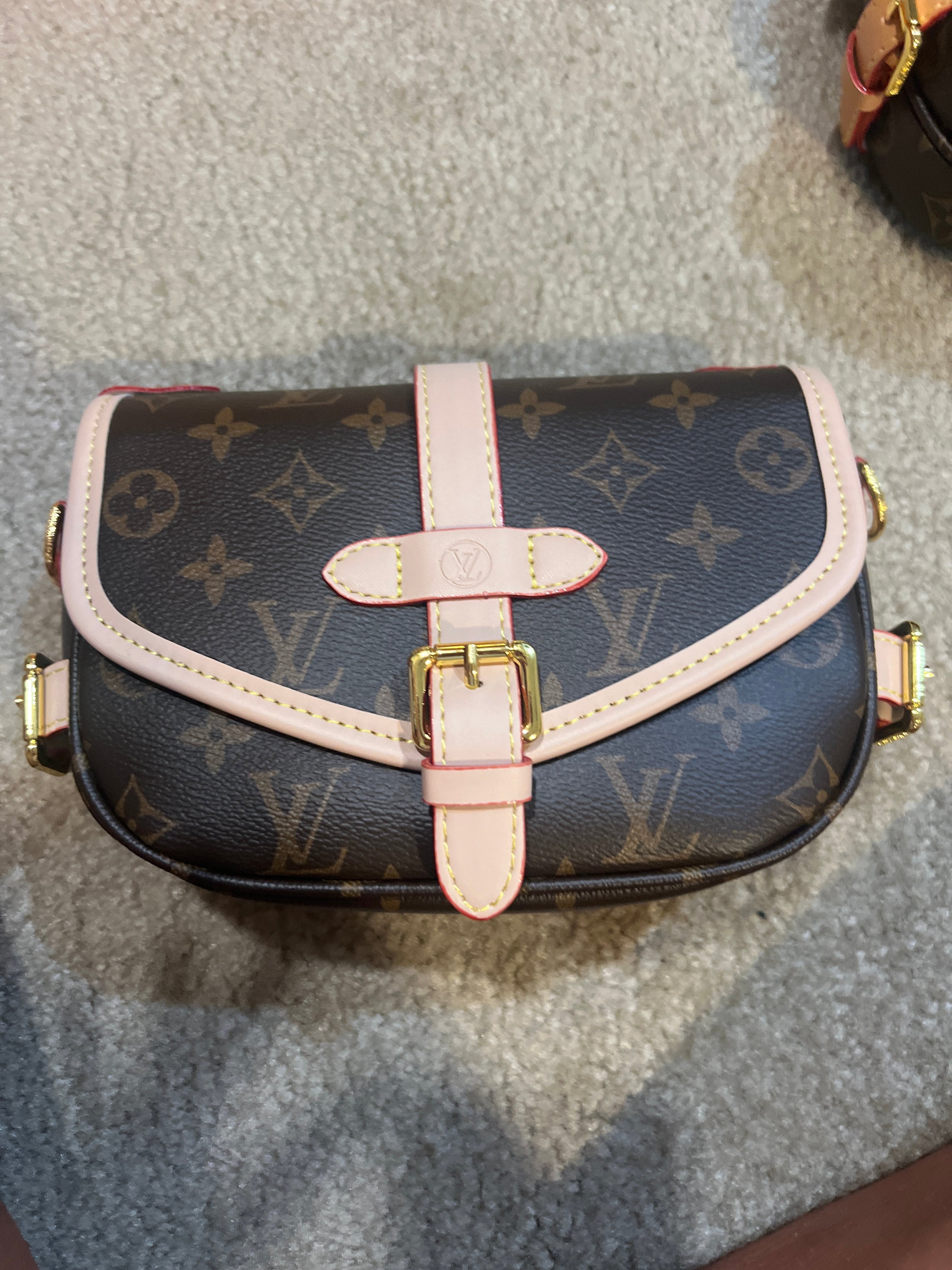 LV Mini Messenger Small Purse Pink Purses and More